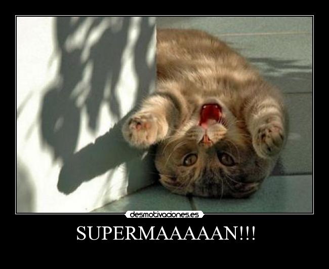 carteles gatossuperman desmotivaciones