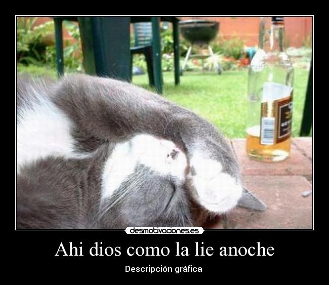 Ahi dios como la lie anoche -
