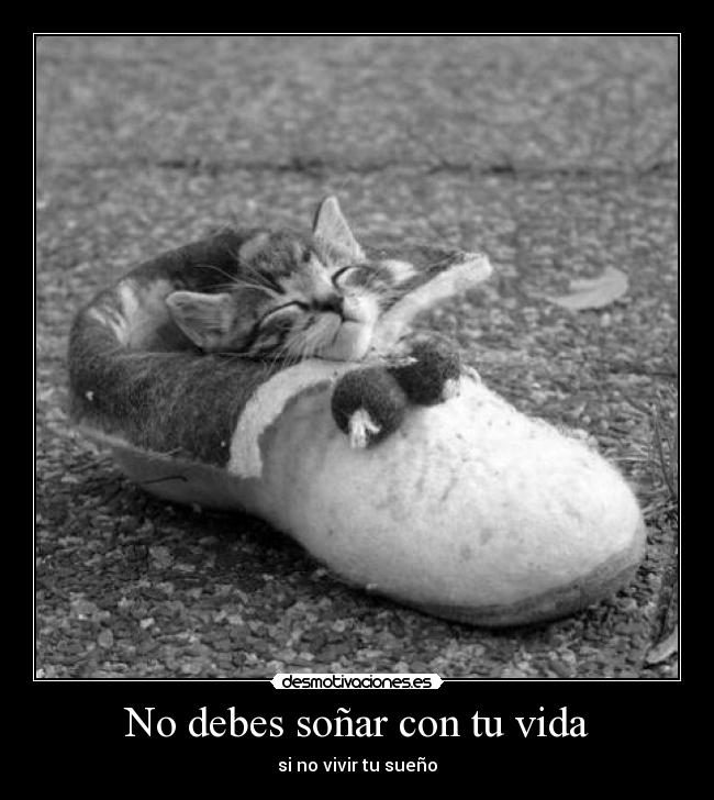 No debes soñar con tu vida - 