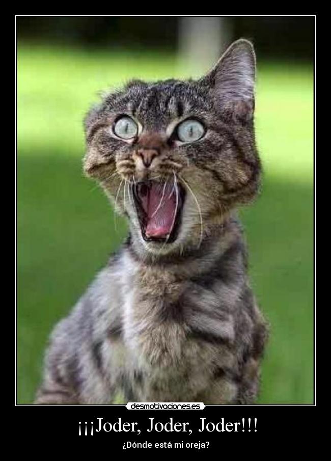 ¡¡¡Joder, Joder, Joder!!! -