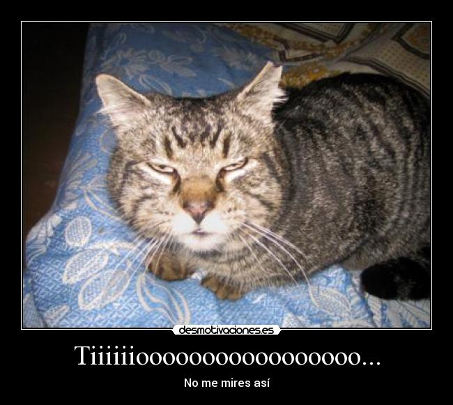 Tiiiiiiooooooooooooooooo... -