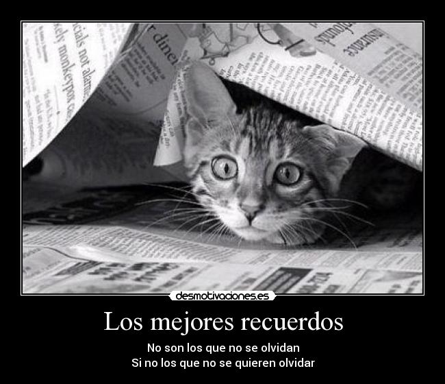 Los mejores recuerdos - No son los que no se olvidan
Si no los que no se quieren olvidar