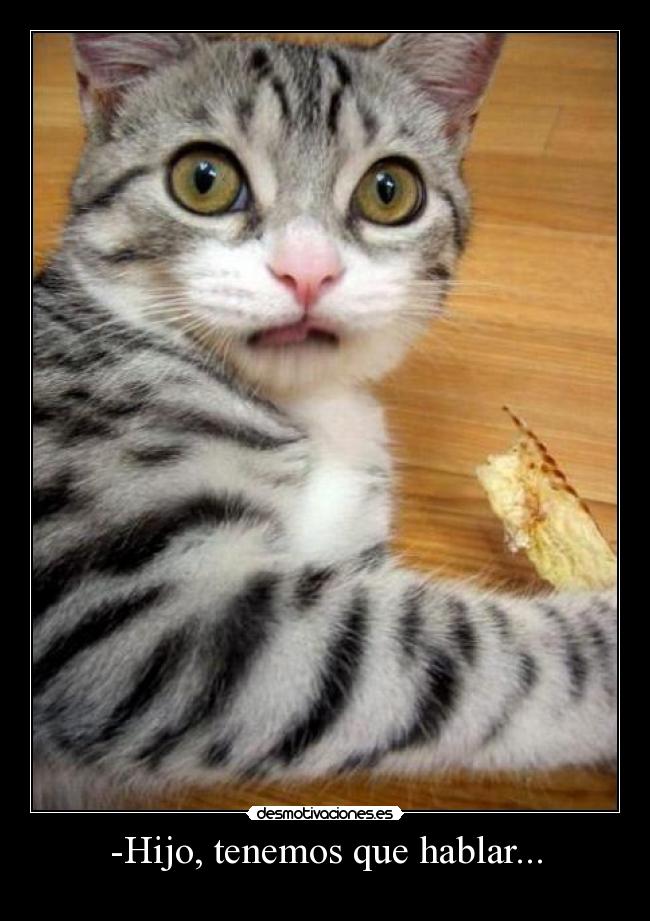 -Hijo, tenemos que hablar... -
