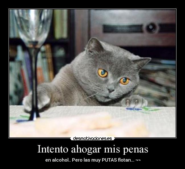 Intento ahogar mis penas - 