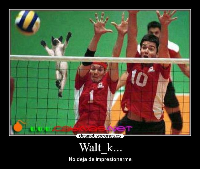 Walt_k... - No deja de impresionarme