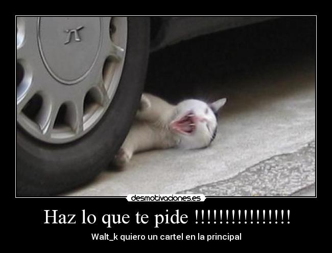 Haz lo que te pide !!!!!!!!!!!!!!!! - Walt_k quiero un cartel en la principal