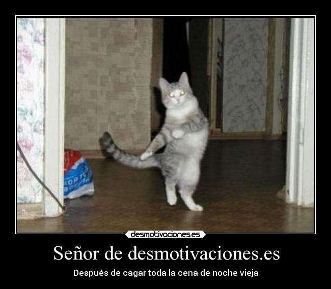 Señor de desmotivaciones.es - Después de cagar toda la cena de noche vieja