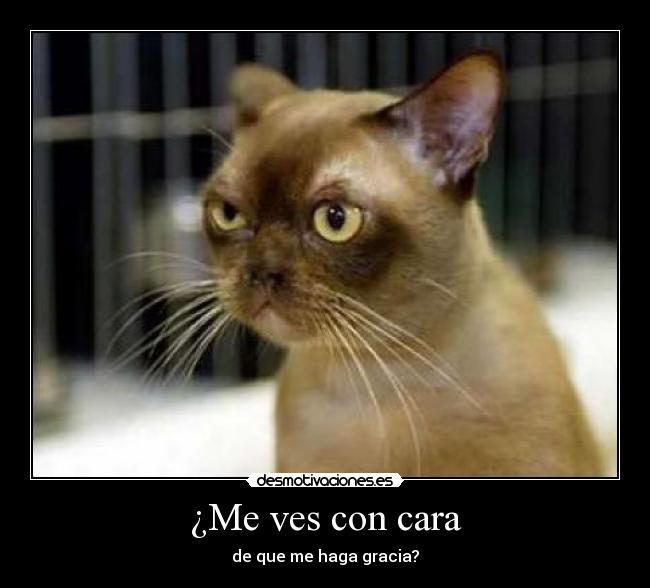 ¿Me ves con cara - 