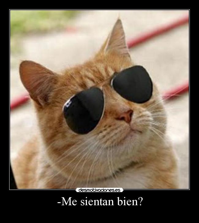 -Me sientan bien? - 