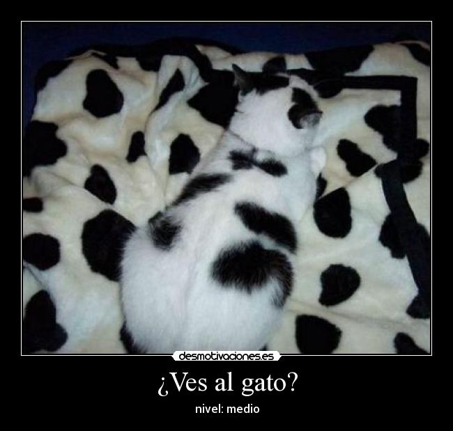 ¿Ves al gato? - nivel: medio