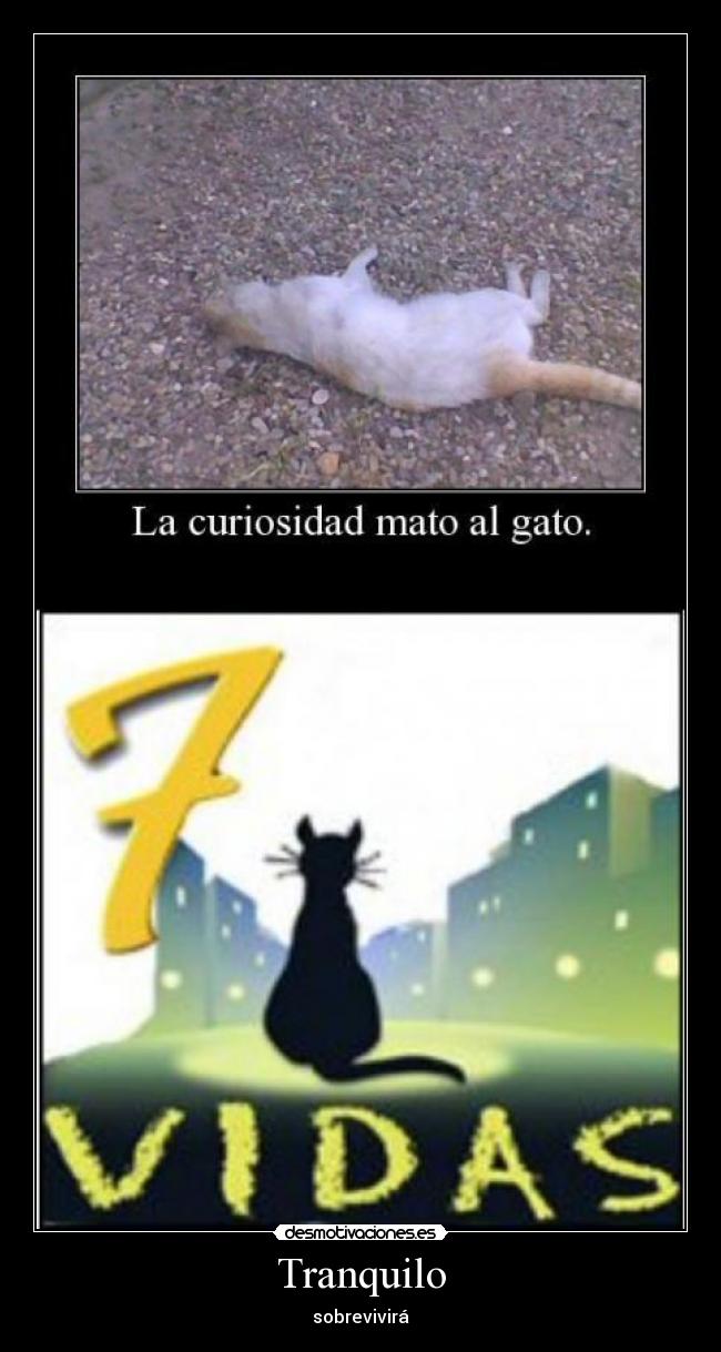 Tranquilo - sobrevivirá