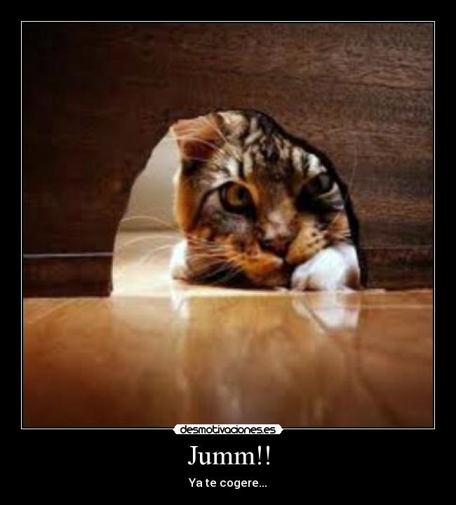 Jumm!! - Ya te cogere...