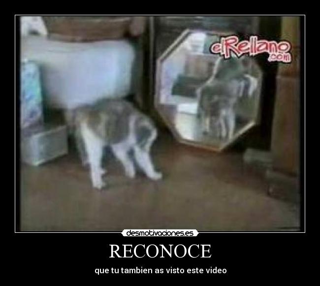 RECONOCE - que tu tambien as visto este video