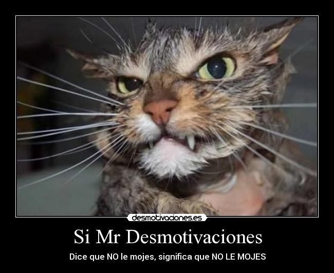 Si Mr Desmotivaciones - Dice que NO le mojes, significa que NO LE MOJES