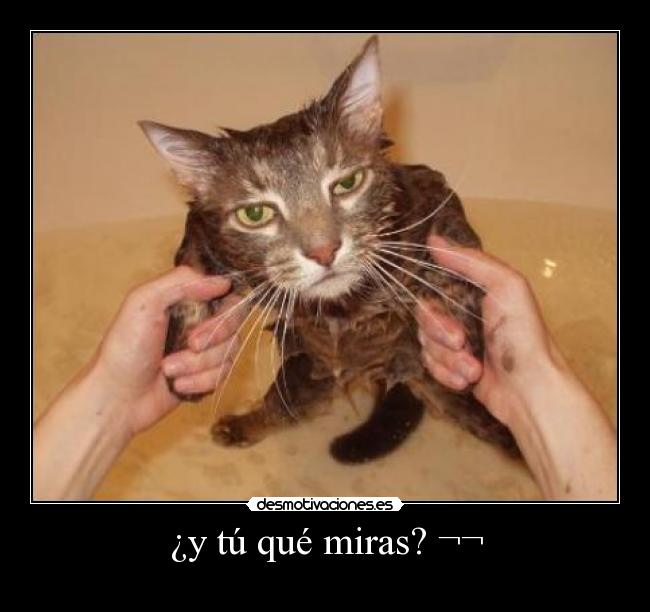 ¿y tú qué miras? ¬¬ -