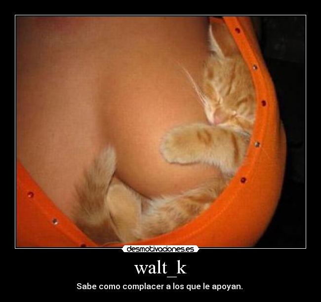 walt_k -