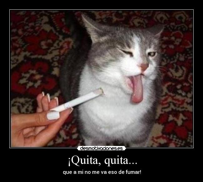 ¡Quita, quita... -