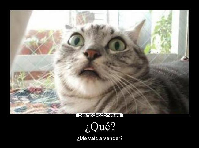 carteles vender animal gatosque rob desmotivaciones