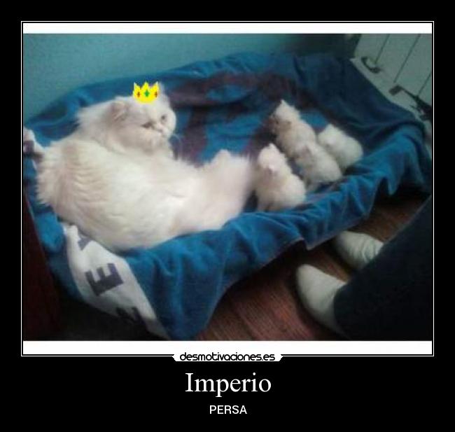 carteles impero persa desmotivaciones