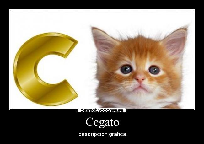 Cegato - descripcion grafica
