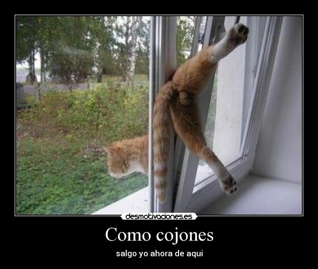 Como cojones - salgo yo ahora de aqui