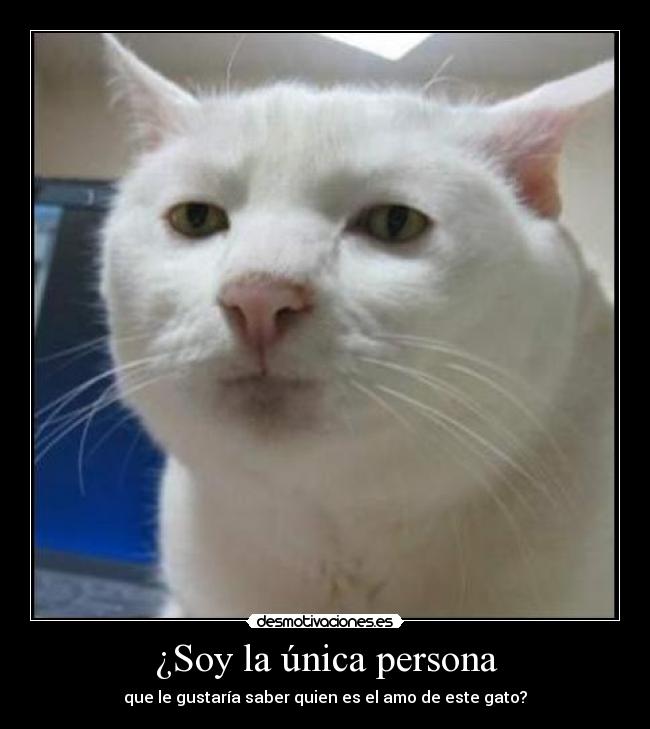 ¿Soy la única persona - 
