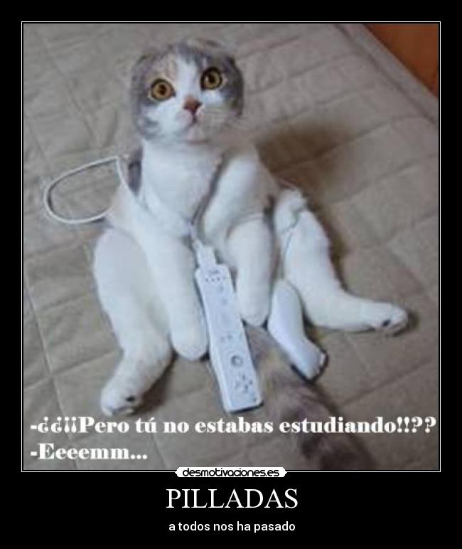 PILLADAS - 