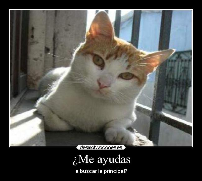 ¿Me ayudas - 