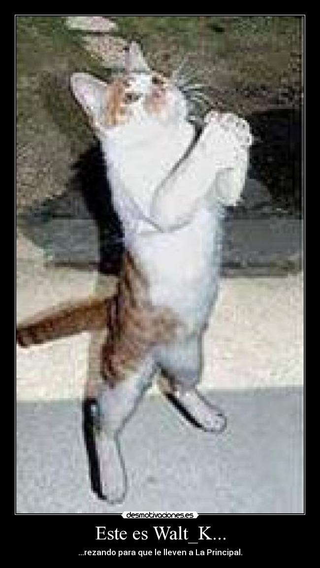 Este es Walt_K... - ...rezando para que le lleven a La Principal.