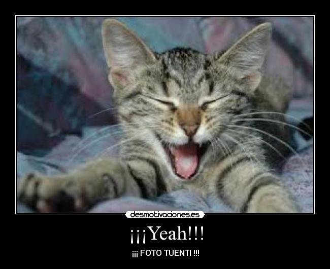 ¡¡¡Yeah!!! - ¡¡¡ FOTO TUENTI !!!
