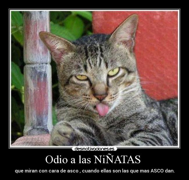 Odio a las NiÑATAS -
