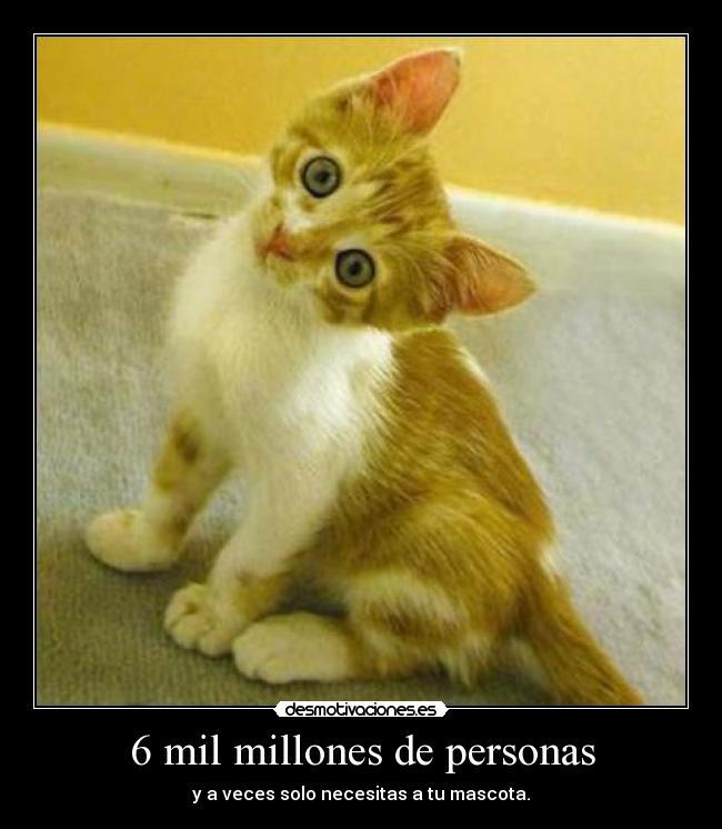 6 mil millones de personas -