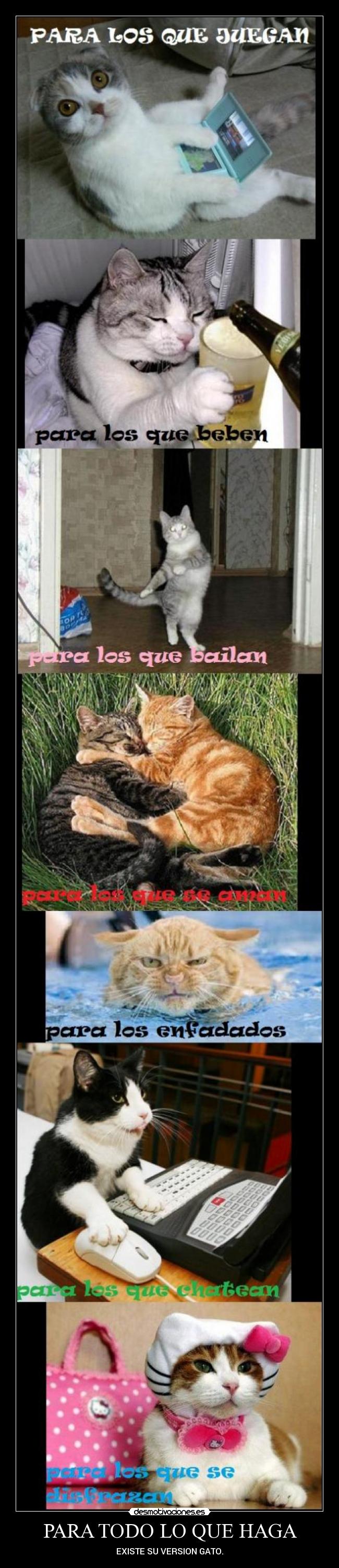 PARA TODO LO QUE HAGA - EXISTE SU VERSION GATO.