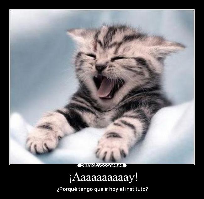 ¡Aaaaaaaaaay! -