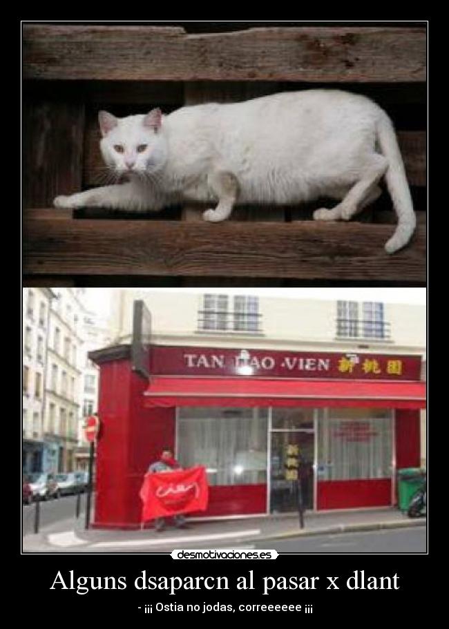 Alguns dsaparcn al pasar x dlant - 