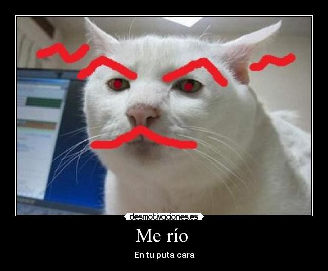 carteles pero con amor desmotivaciones