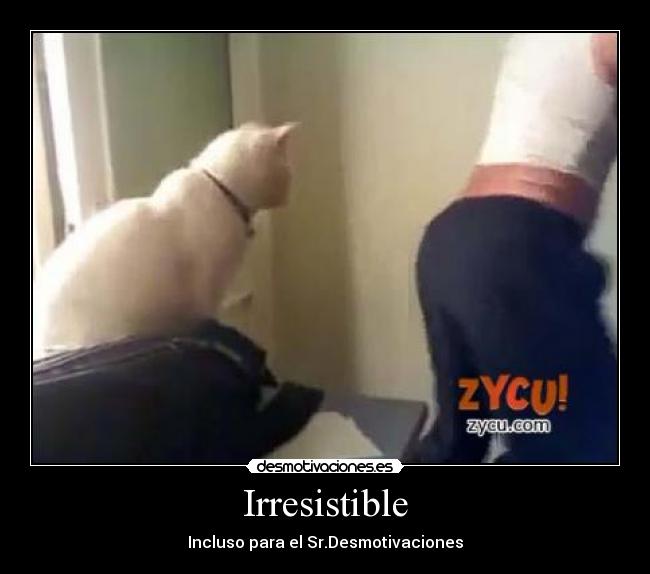 Irresistible - Incluso para el Sr.Desmotivaciones