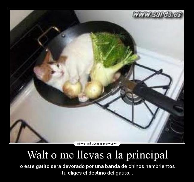 Walt o me llevas a la principal - 