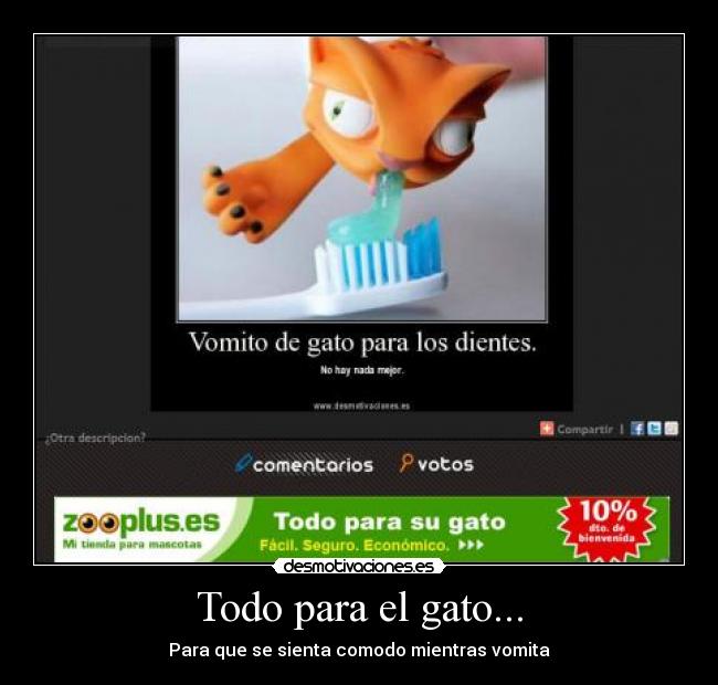 Todo para el gato... - Para que se sienta comodo mientras vomita