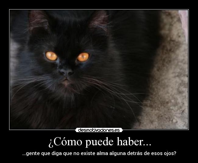 ¿Cómo puede haber... - ...gente que diga que no existe alma alguna detrás de esos ojos?