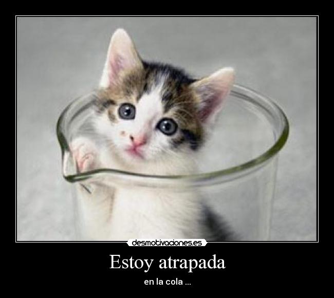 Estoy atrapada - 