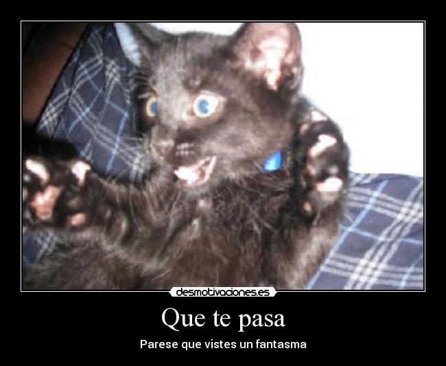Que te pasa - Parese que vistes un fantasma