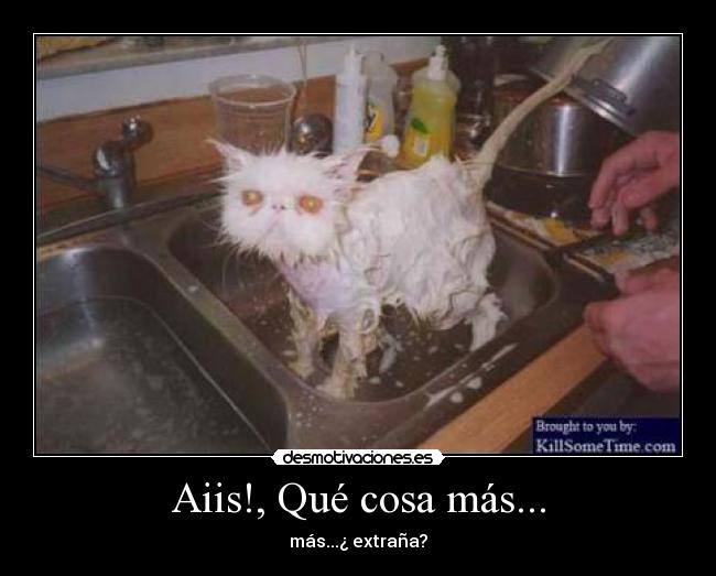 Aiis!, Qué cosa más... - más...¿ extraña?