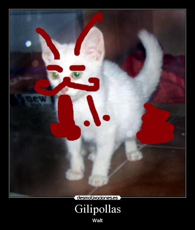 Gilipollas - Walt
