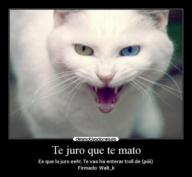 Te juro que te mato -