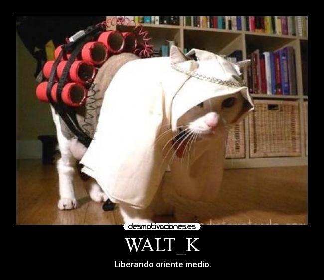WALT_K -