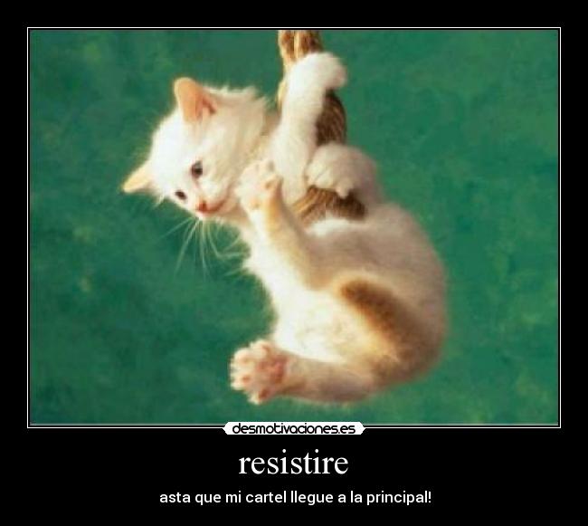 resistire -