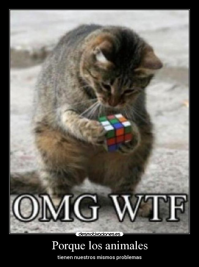 Porque los animales -