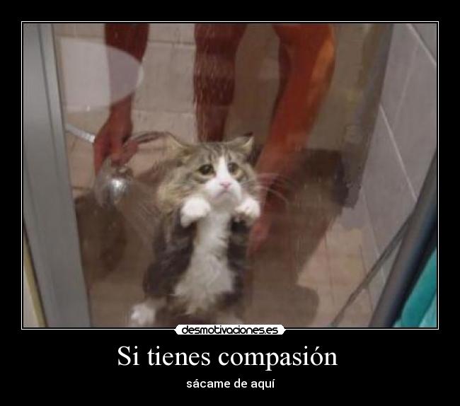 Si tienes compasión  - sácame de aquí