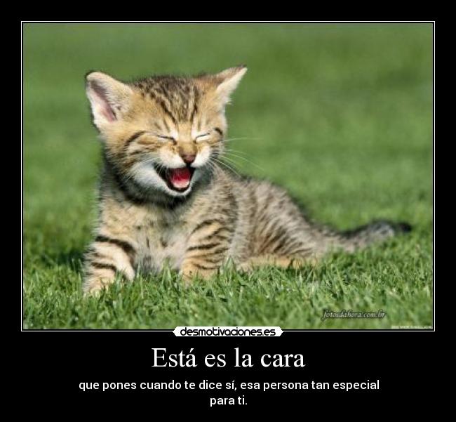 Está es la cara - 
